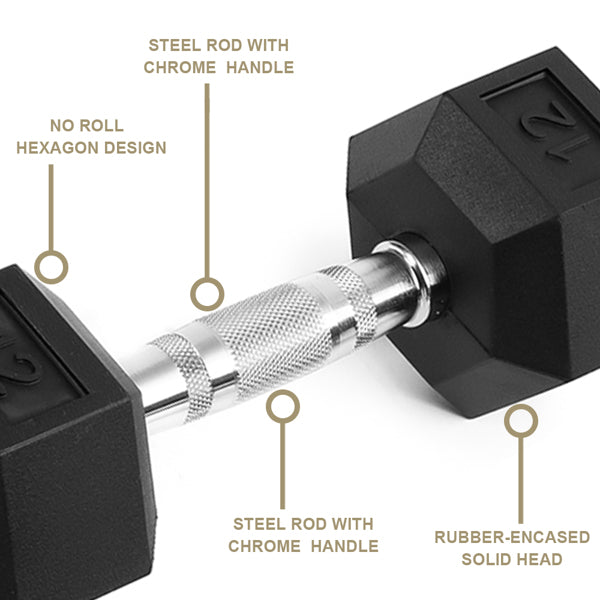 20LB Solid Cast Iron Dumbbells