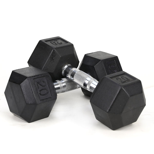 20LB Solid Cast Iron Dumbbells